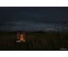 dailyPhoto32